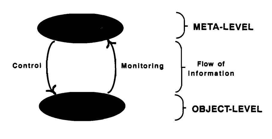 Nelson_Narens_model